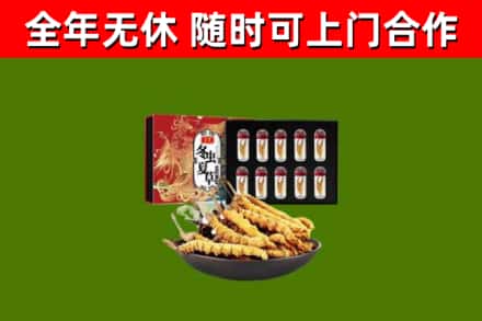 龙沙回收冬虫夏草价格