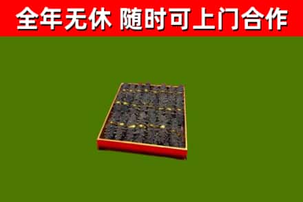 龙沙回收海参
